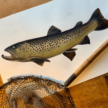 A fish painting with a net