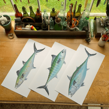 Fish paintings