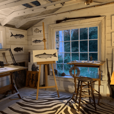 Dan's studio with fish paintings in the evening