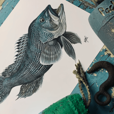 Painting of a fish