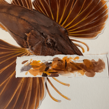 Painting of a fish