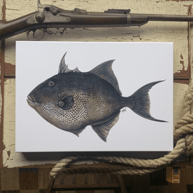 Fish painting hanging on the wall
