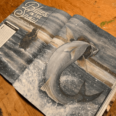 A picture of a fish in a magazine