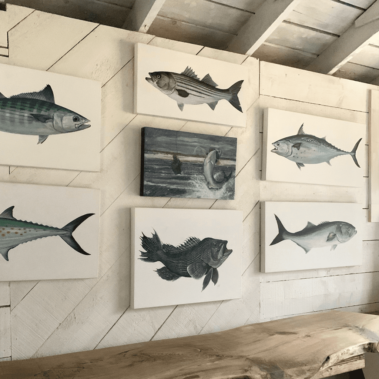 Fish paintings in Dan's studio
